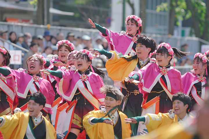 桜閃 | 参加チーム⼀覧 | YOSAKOIソーラン祭り 公式ホームページ